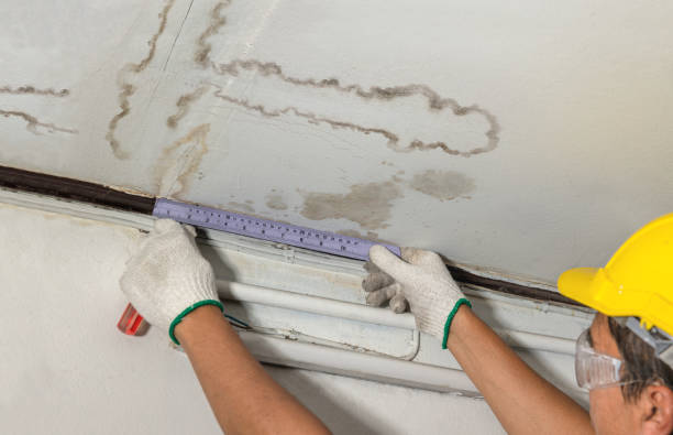 Reliable Structural Drying contractor in Newhebron, MS by Water Damage Irwin